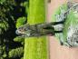 Figur Soldat WW2 Russischer aus 3 d Resin drucken unbemalt