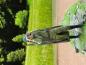 Figur Soldat WW2 Russischer aus 3 d Resin drucken unbemalt