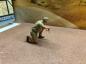 ASIATAM Deutsche Figur 1:16 handbemalt